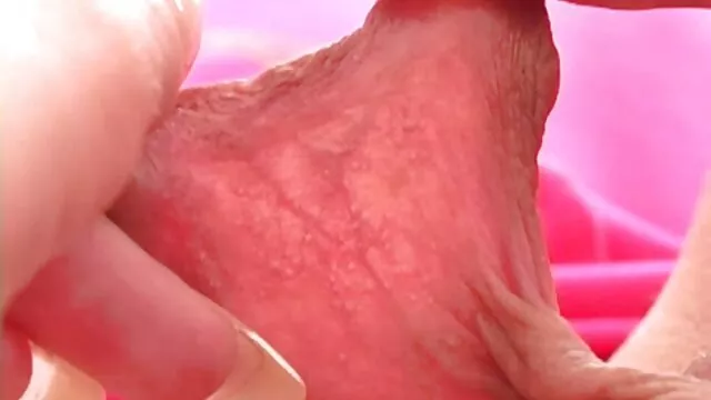 مشاهد من جحافل افلام عربيه جنسيه ممنوعه من العرض على أكتاف الزهرة السوداء المتحمسة لأمريكا العاصفة
