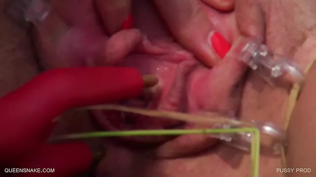 24 porn video