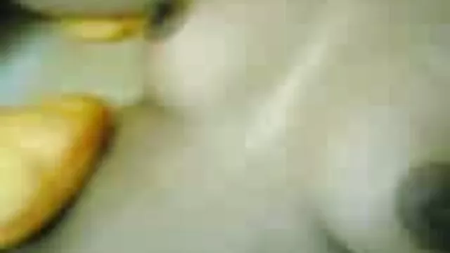 الإباحية افلام رومانسيه جنسيه المطبخ مع كارتر فوكس الرائع من أمريكا المشاغب